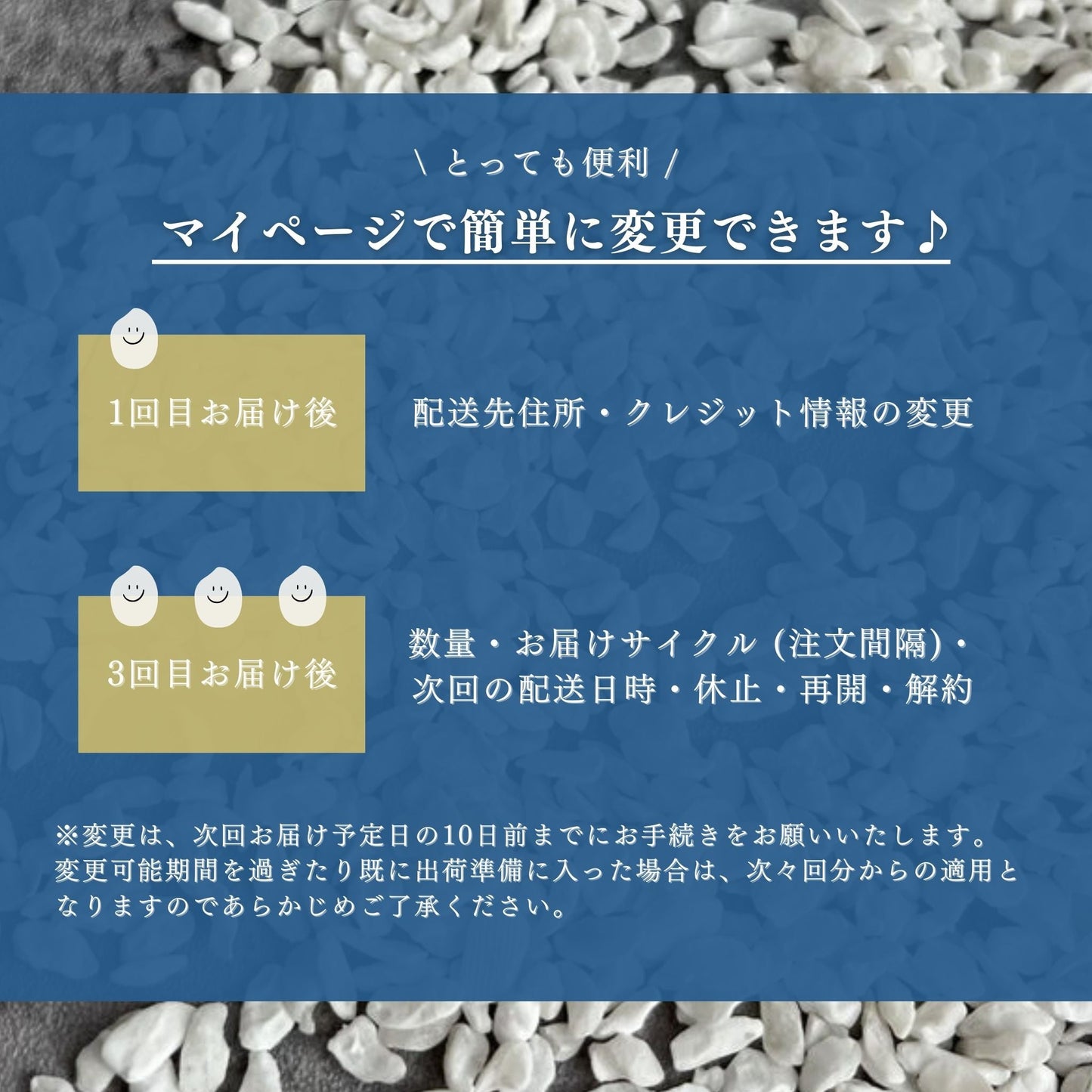 【お得・定期便】SHINOBI 無農薬こんにゃく麺 乾燥タイプ (25g X 20玉入)