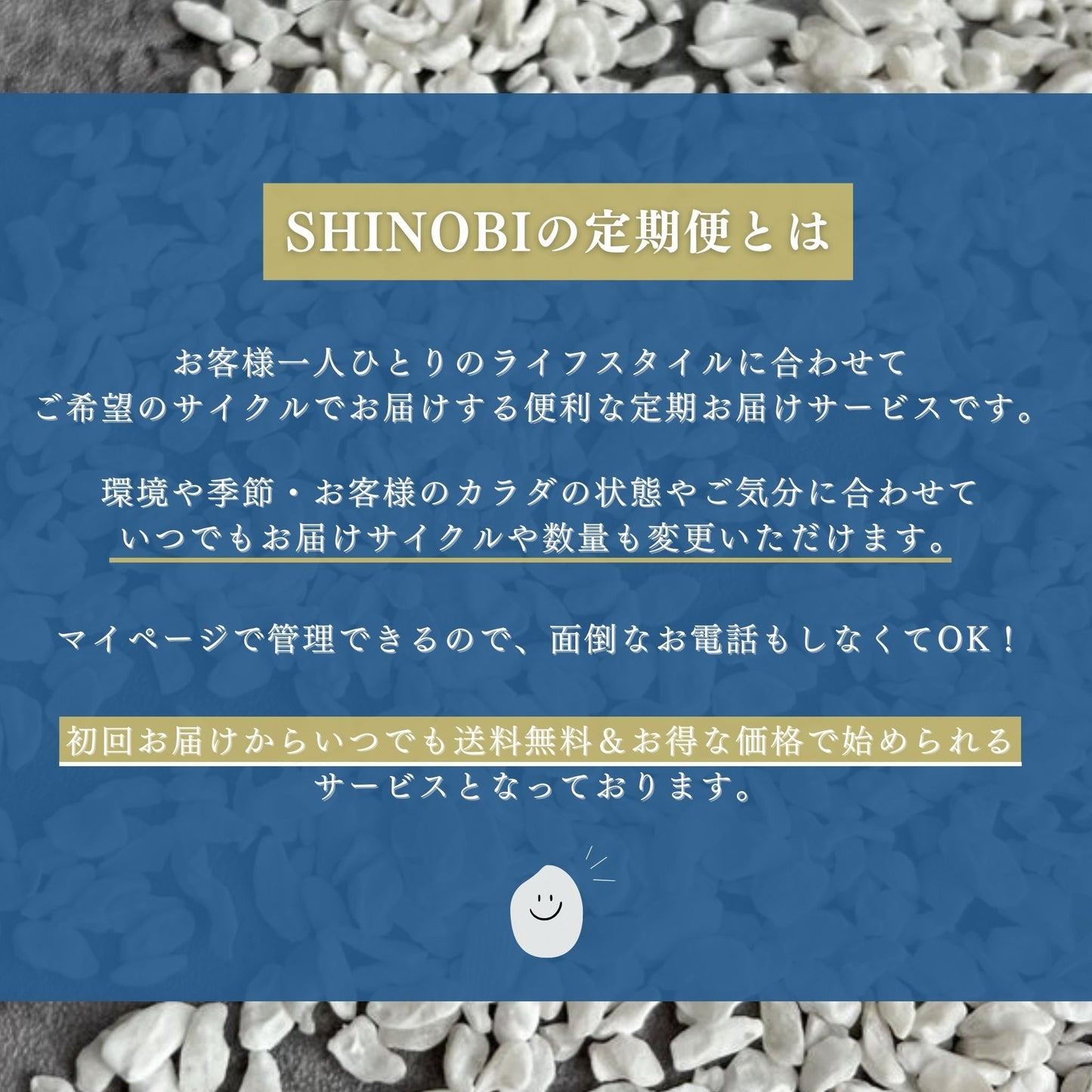 【お得・定期便】SHINOBI 無農薬こんにゃく麺 乾燥タイプ (25g X 20玉入)