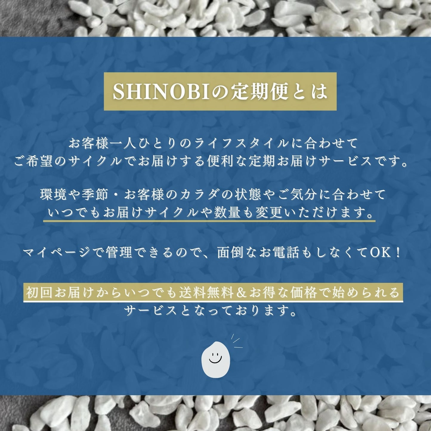 【お得・定期便】SHINOBI 無農薬こんにゃく麺　乾燥タイプ (25g X 20玉入)